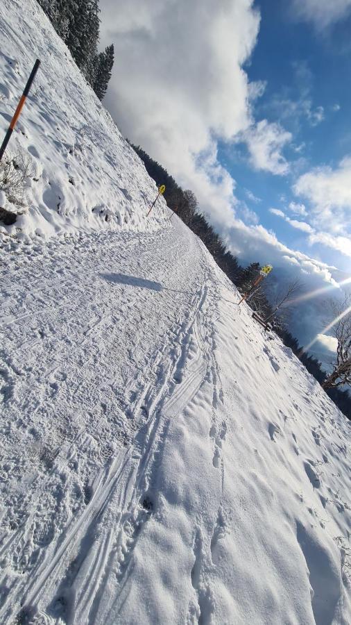 Gasthof Wimbachklamm Ramsau bei Berchtesgaden Eksteriør billede